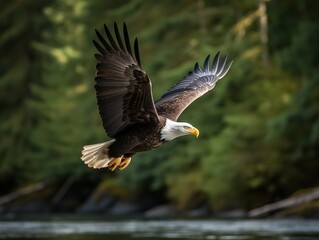 Bald Eagle's Domain: Sovereign of the Wild Skies
