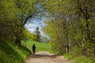Walking on a forest path of Chartreuse mountain rnage, near Grenoble