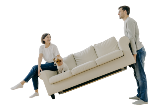 Couple furnishing first home, carrying sofa, playful woman with pet, in living room. Home renovation, real estate, family concept.
