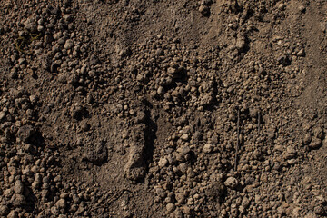 sand. sand texture. coarse sand. fine-grained sand