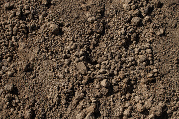 sand. sand texture. coarse sand. fine-grained sand