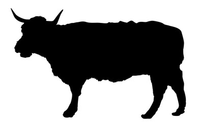Ox silhouette concept vector illustration