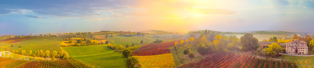  Beautiful aerial panoramic view autumn vineyard shot at sunset.Castelvetro, Modena province, Emilia Romagna, Italy.Lambrusco vineyards.Beautiful Italian Landscape