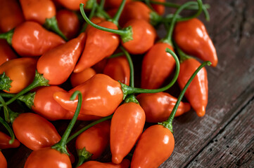 Lots of Orange fresh Fatalii peppers. Bulk harvest of peppers. Ripe hot African pepper. Spicy food. Bright spices, vegetables. Wooden background. Close-up. Soft focus. Top view. 