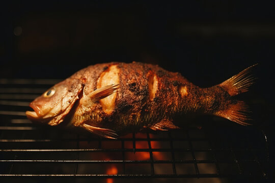Generative AI top view illustration smoked tilapia fish placed on grill while camping at night