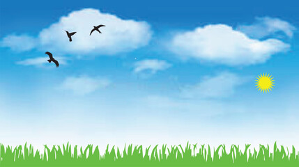 Lawn Grass, Birds, Sky, Sun, Nature