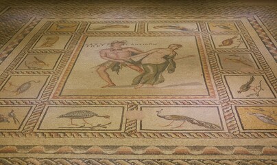The Zeugma Mosaic Museum in Gaziantep, Turkey, Home to Some of the Finest Mosaics Ever Discovered