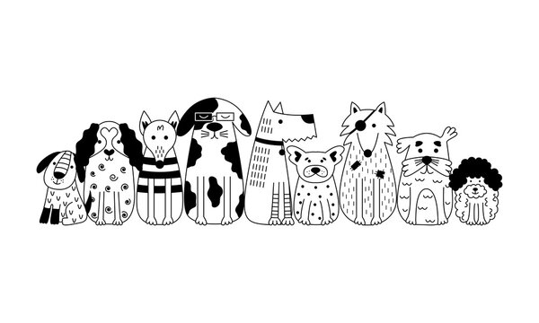 A group of dogs sit facing forward.