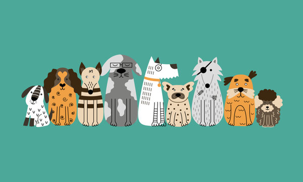 A group of dogs sit facing forward.