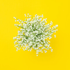 Bouquet of white fragrant lilies of the valley isolated on a yellow background.