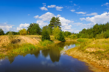 small lake on forest glade, summer natural landscape