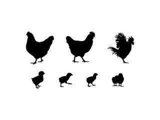 Vector silhouette of group hens and roosters. Set of silhouettes broiler roosters chicken vector design and illustration. Silhouette of a chicken, a rooster and a chicken.