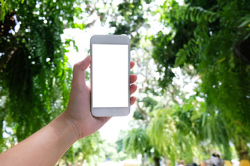 Close up of women's hands holding cell telephone blank copy space screen. smart phone with technology concept