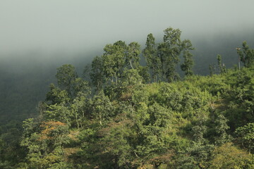 ネパールの田舎の風景