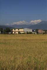 ネパールの田舎の風景