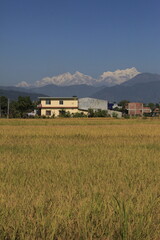 ネパールの田舎の風景
