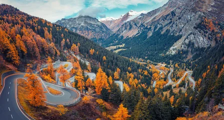 Fototapeten Wonderful Nature landscape of Switzerland. Vivid autumn scenery of Maloja pass, Switzerland, Europe. Amazing, serpentine road is a most popular place of travel and Outdoor vacations in Swiss alps. © jenyateua