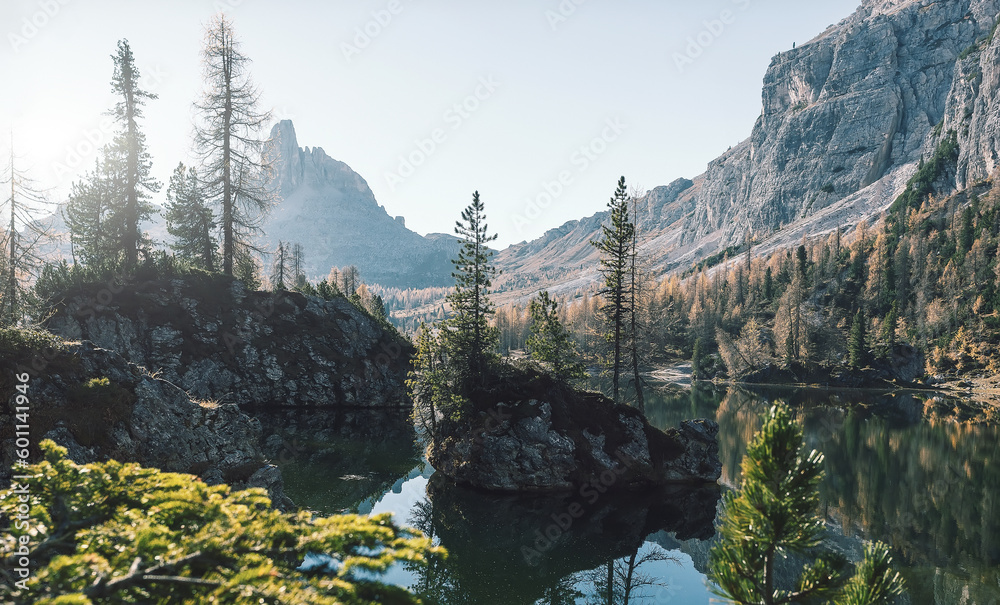 Fototapete Incredible nature landscape. Panoramic view on spruse forest in front of mountain range and perfect blu sky on background. Location near Federa lake . Dolomite Alps. Italy. Picture of wild nature