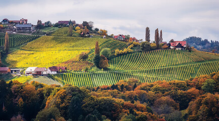 Wonderful fairy tale nature scenery of Austria at sunset. View on vineyard and old winery house...