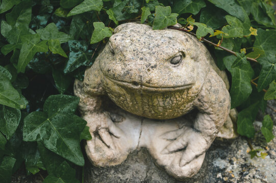 A frog stone sculpture in a garden surrounded by vegetation. 