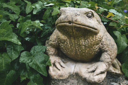 Stone garden sculpture of a toad on a green foliage background. 