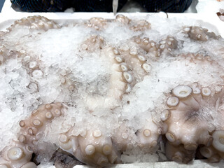 Big fresh octopus on ice