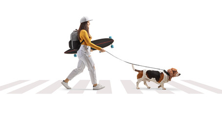 Full length profile shot of a young female with a longboard and a basset hound dog at a pedestrian crossing
