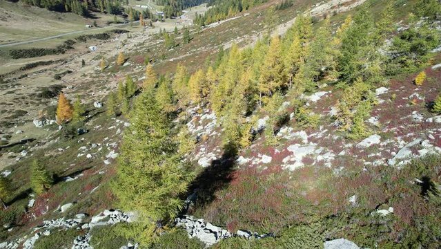 Luftaufnahme vom Largo di Isola in Norditalien 