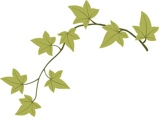Simplicity ivy freehand drawing