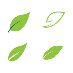 Leaves icon vector set isolated on white background. Various shapes of green leaves of trees and plants. Elements for eco and bio logos.