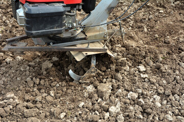 Machinery cultivator for soil cultivation in the garden, motor cultivator.