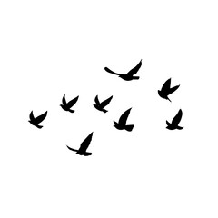 vector silhouette of flying birds 