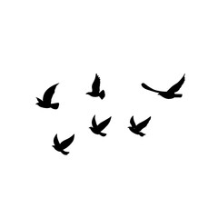 Obraz na płótnie Canvas vector silhouette of flying birds 