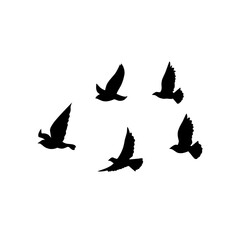 vector silhouette of flying birds 