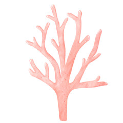 Soft Red Sea Coral Watercolor Illustration
