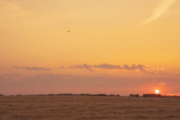 the horizon line during sunset, the sun in the sky and a bird