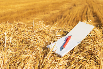 an open paper notebook and a red fountain pen on a straw background