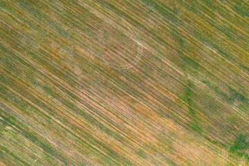 top view of an agricultural field after hay has been mowed