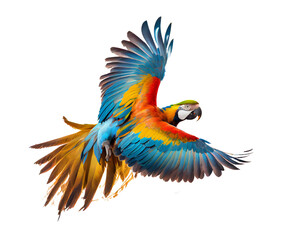 Beautiful blue macaw in flight on a transparent background (PNG). AI generator