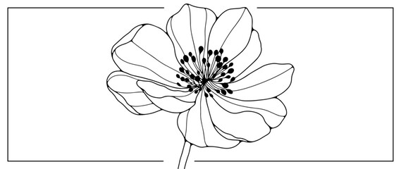 Black and white vector floral illustration for coloring books, decorations, covers, decor, cards and presentations