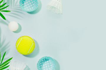 Summer sport activities. Tennis balls, table tennis balls and shuttlecocks on blue background with palm shadows. Healthy lifestyle. Tennis, table tennis, badminton background. Copy space