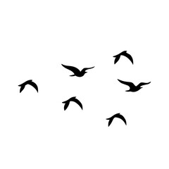 Bird flock silhouette vector illustration.