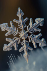 Extreme close up of snowflake in the night ,made with Generative AI