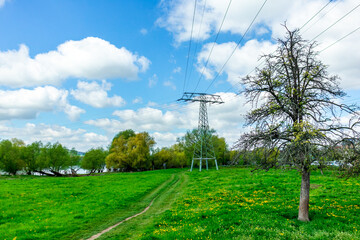 Obraz premium Wunderschöne Frühlingstour entlang des Elbradweges von Meißen, über Dresden nach Bad Schandau - Sachsen - Deutschland