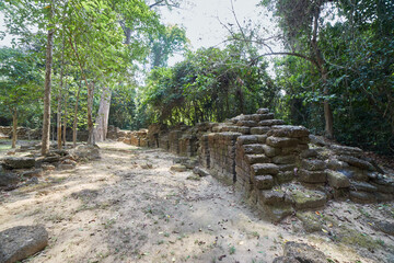 Fototapeta na wymiar The Overlooked Krol Romeas Elephant Sanctuary in Angkor, Cambodia