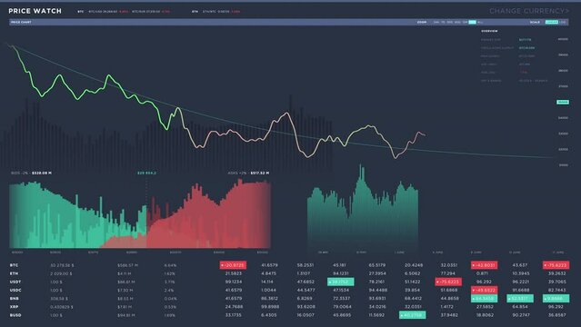 Collecting coin currency cost information for investment report. Examining the investment graph information for a financial report. Company analyzing the investment information report chart.