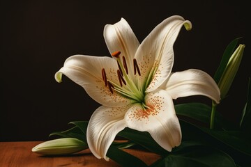 White lily with green leaves painted on a brown background. Generative AI