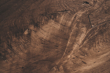 Warm brown texture of treated wood. Detailed texture of a felled tree trunk or stump. A template...