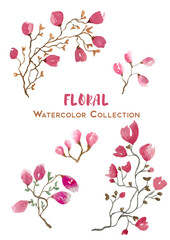 Beautiful handdrawn floral watercolor collection