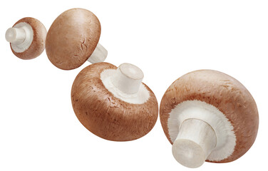 Flying delicious champignon mushrooms, cut out